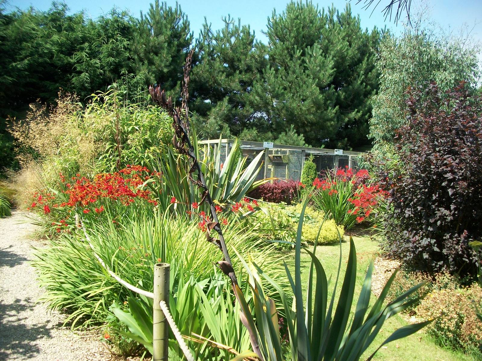 In the gardens, 24th July 2014
