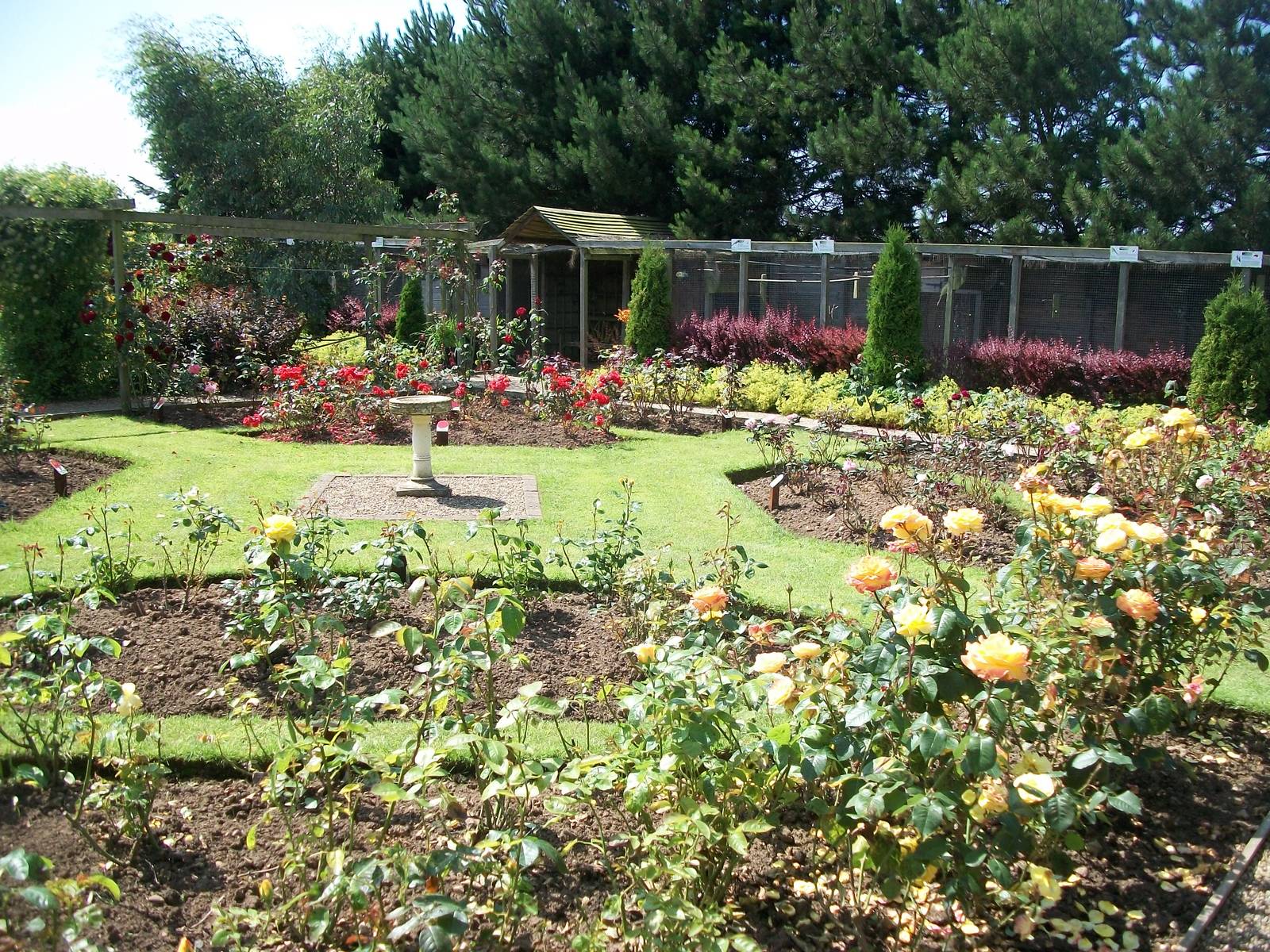 In the gardens, 24th July 2014