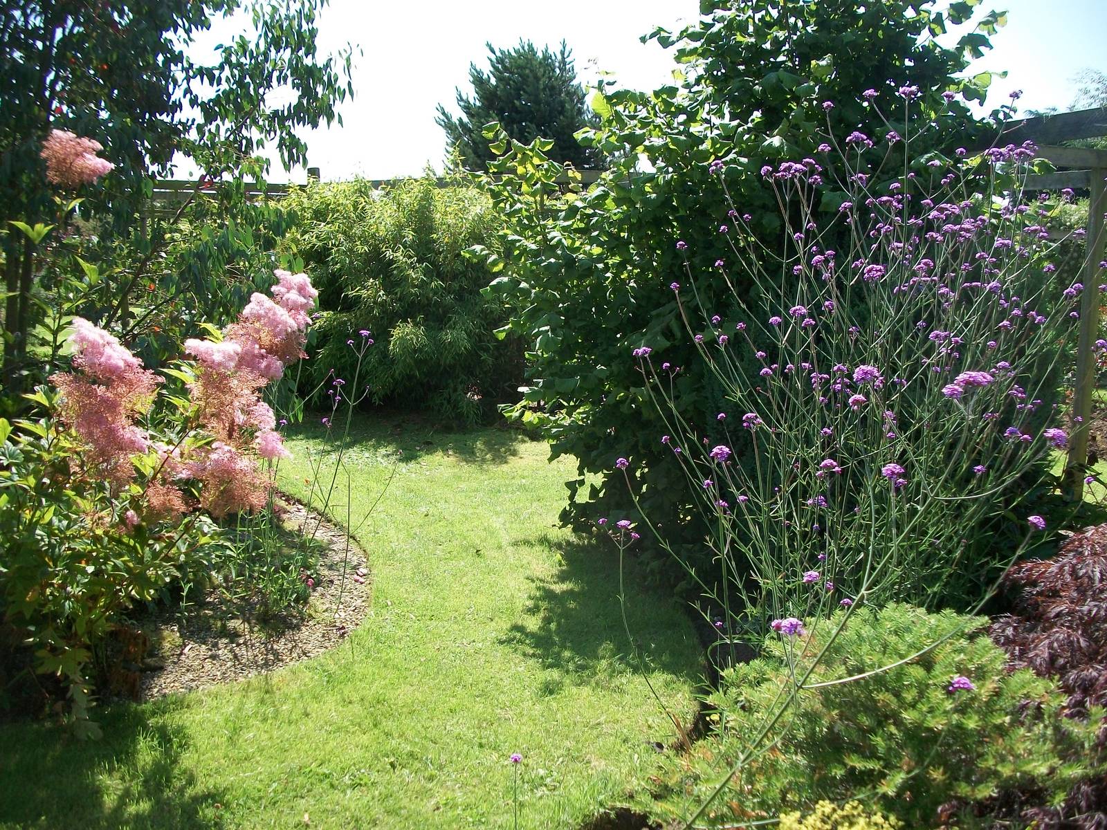 In the gardens, 24th July 2014