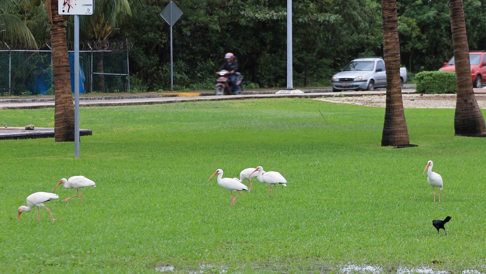 In the middle of the city !