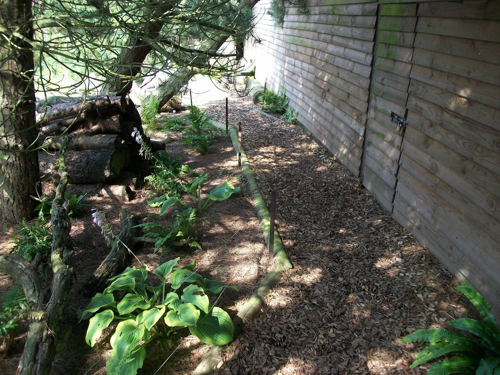 In the Secret Garden, 24th July 2014