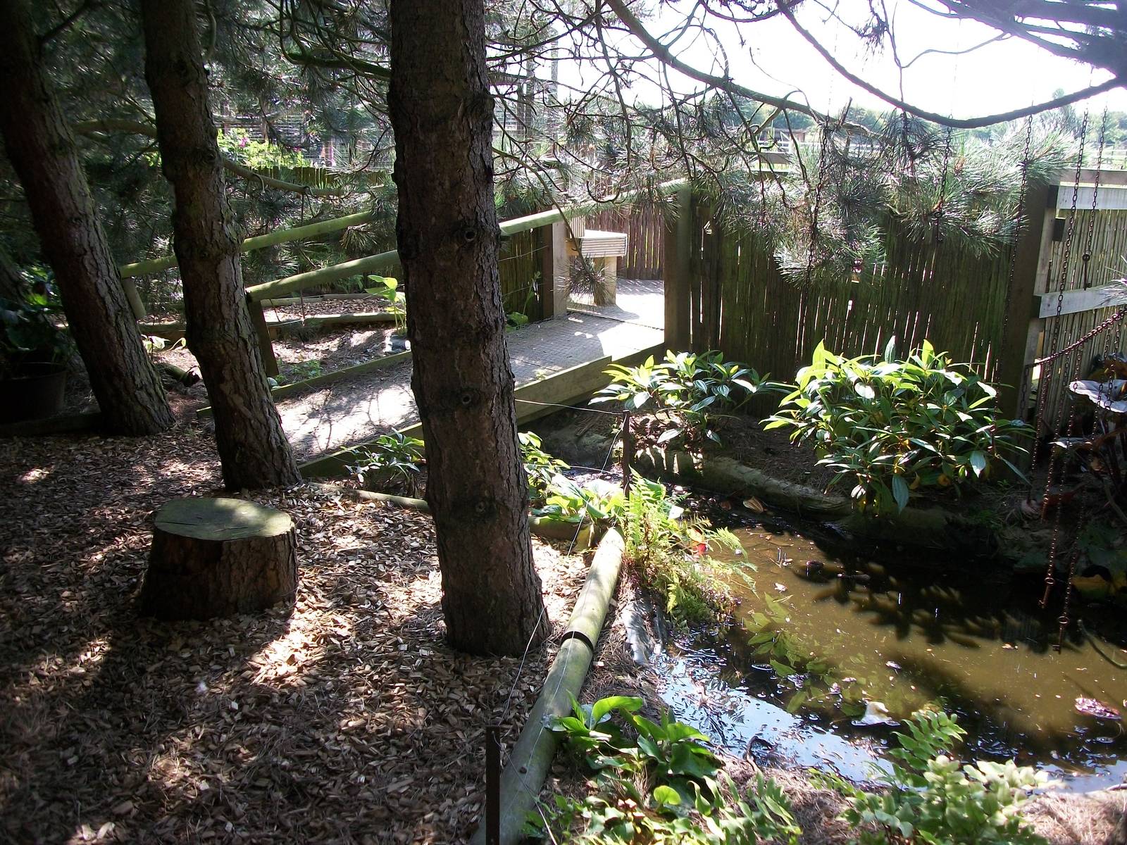 In the Secret Garden, 24th July 2014