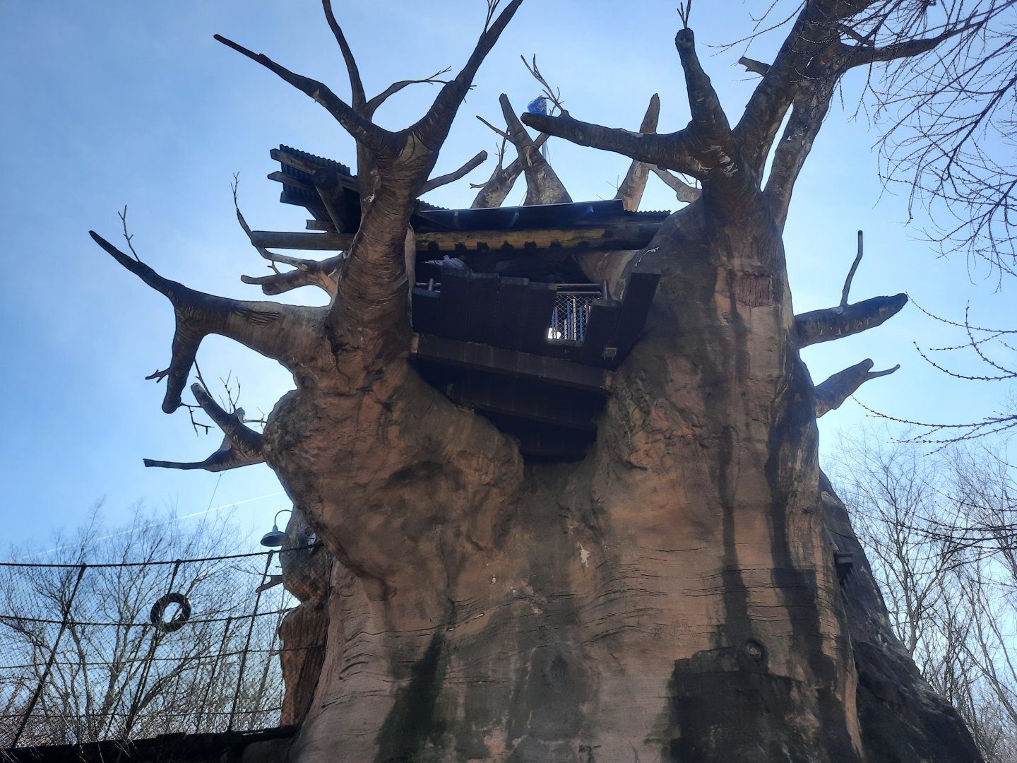 In the shadow of the Yagga Tree