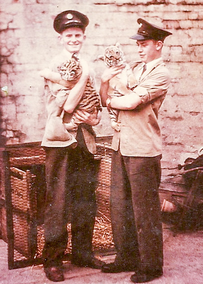 In the yard behind the old Lion House