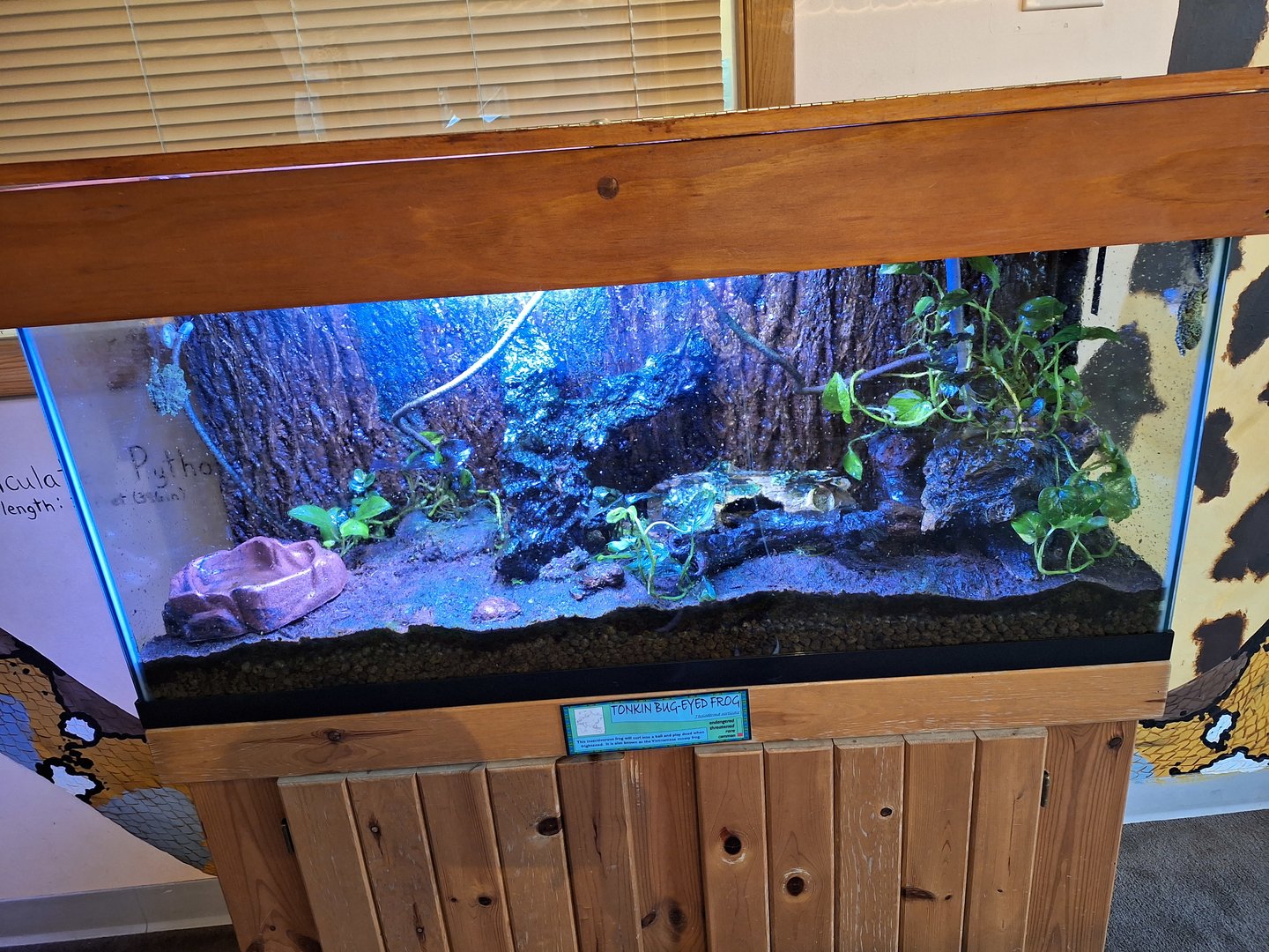 In the Zoo Lab, July 18, 2023