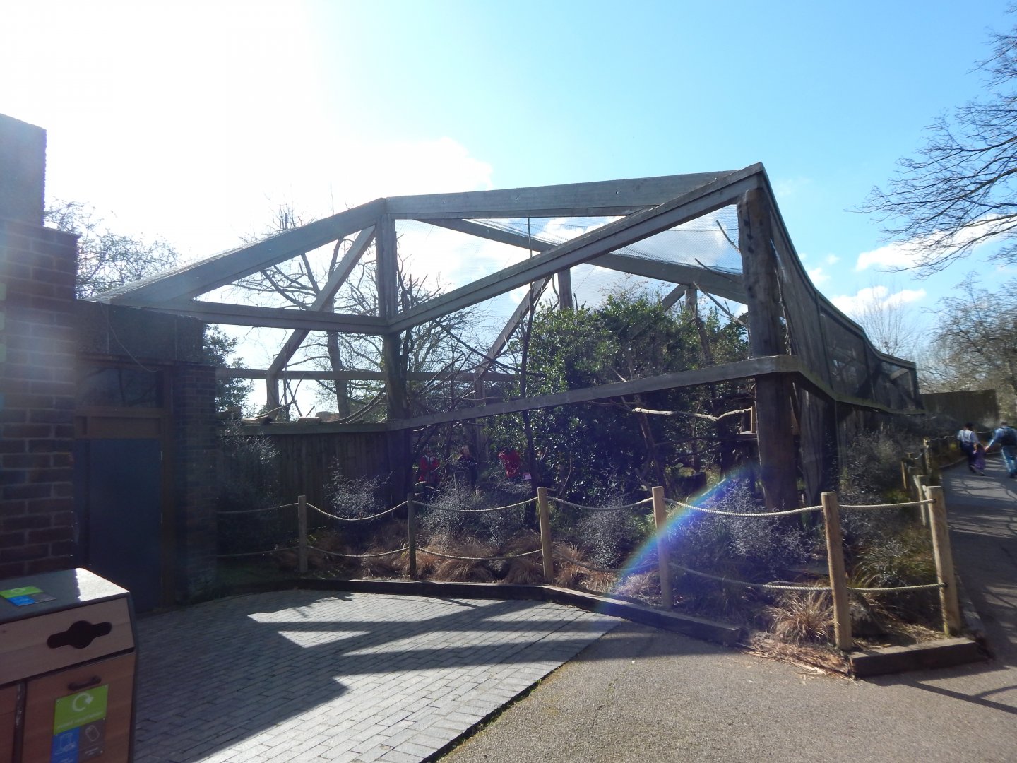 In with the lemurs 180322