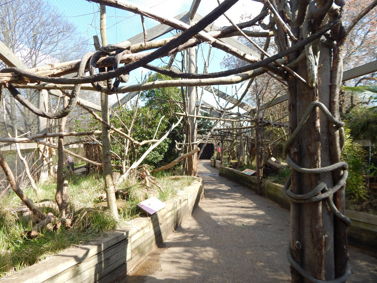 In with the lemurs 180322