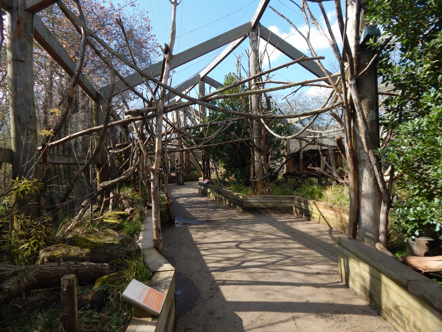 In with the lemurs 180322