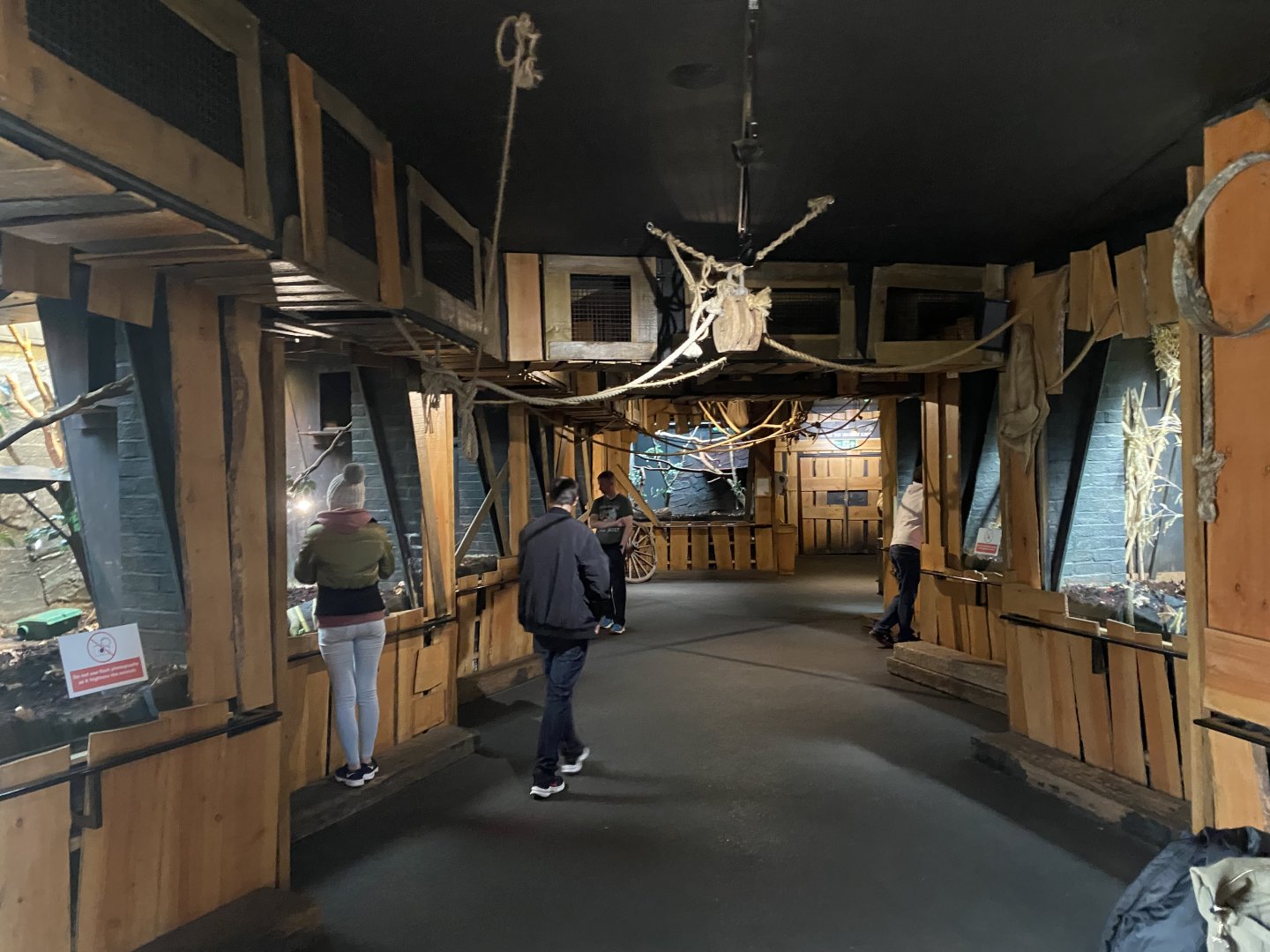 In with the lemurs 180322