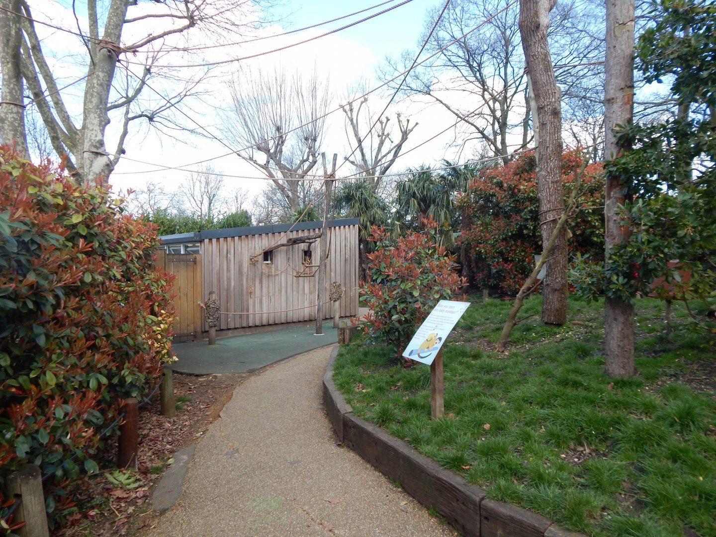 In with the Monkeys 180322