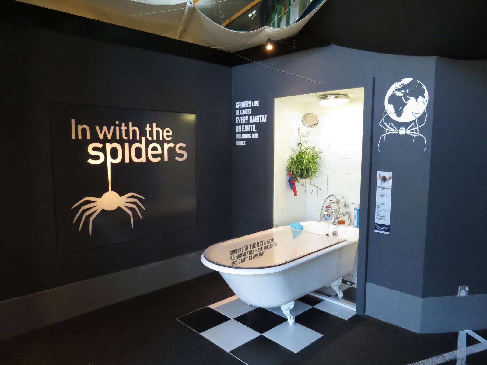 In with the spiders, July 2015.