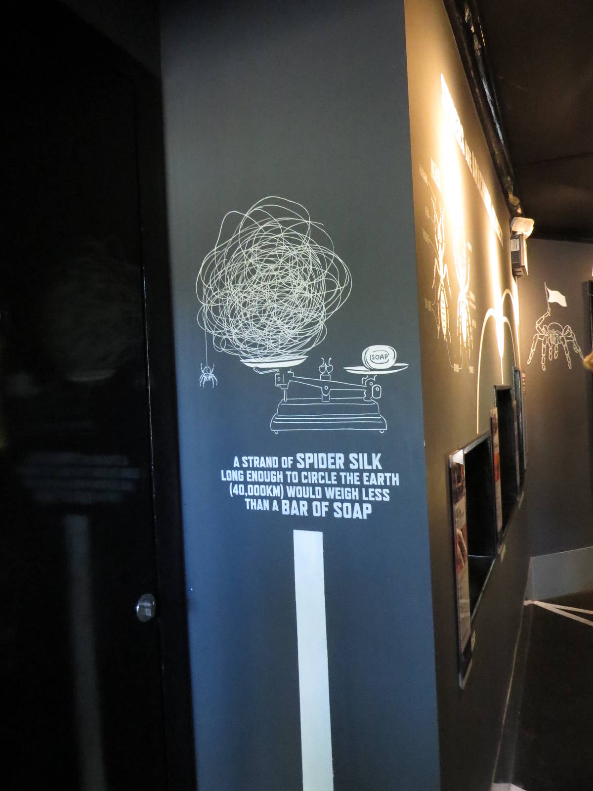 In with the spiders - signage, July 2015.