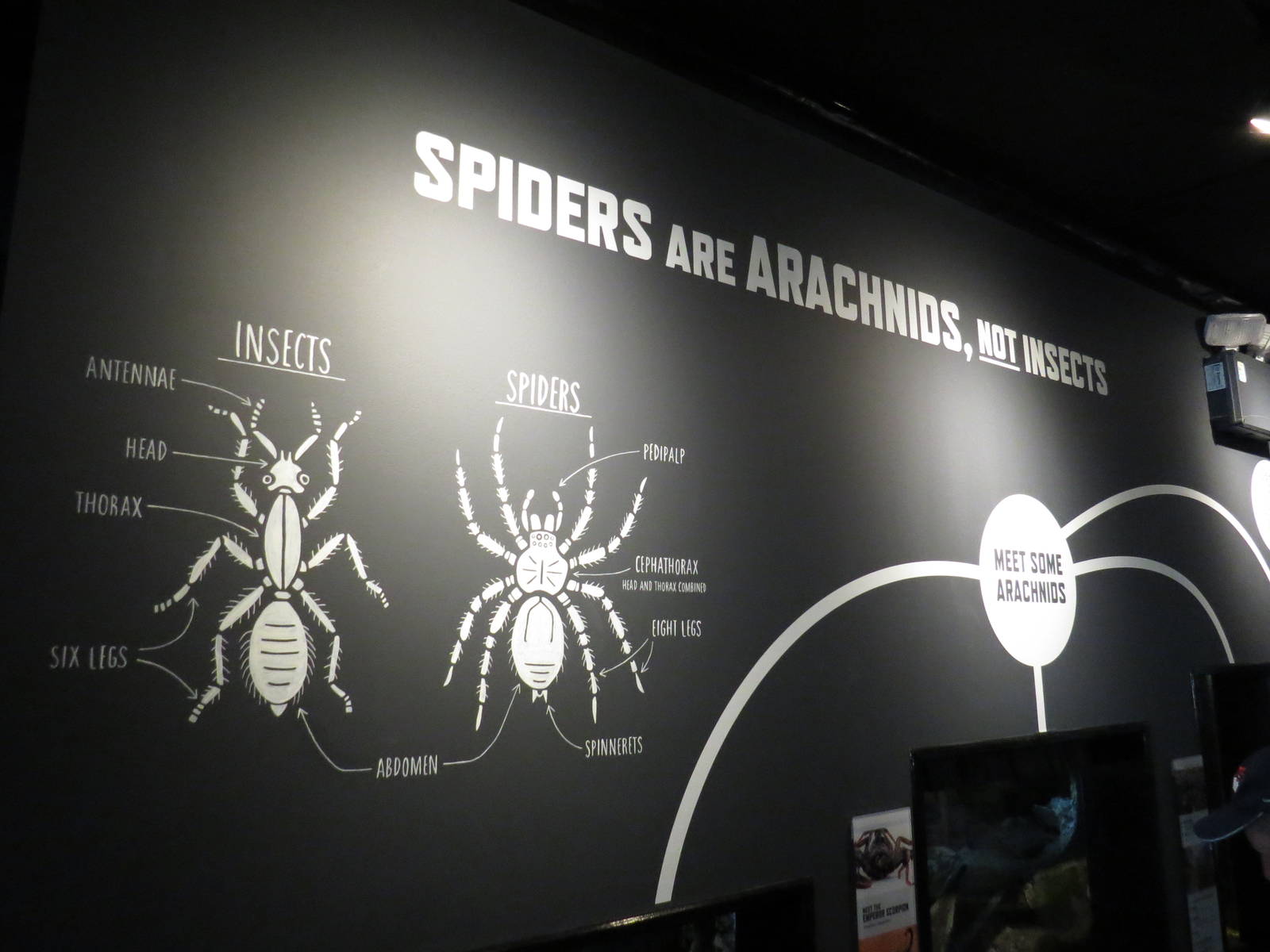 In with the spiders - signage, July 2015.