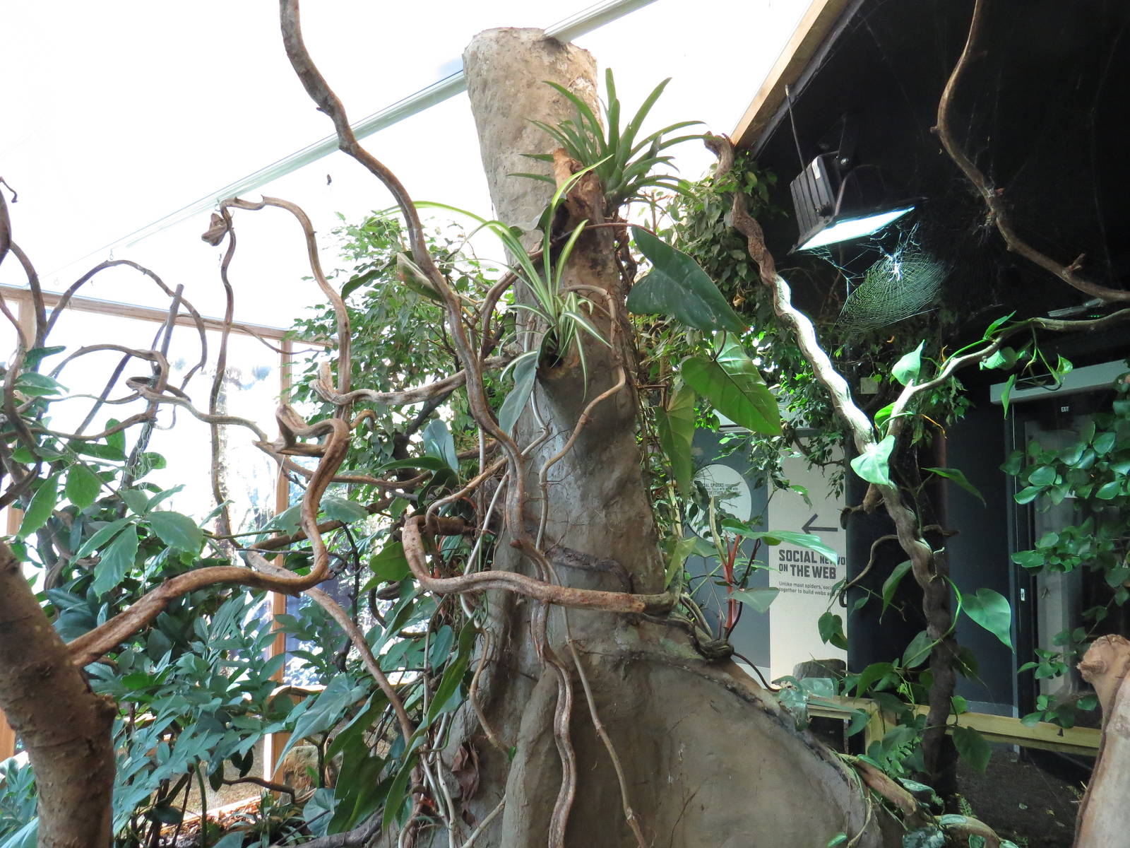 In with the spiders walkthrough, July 2015.