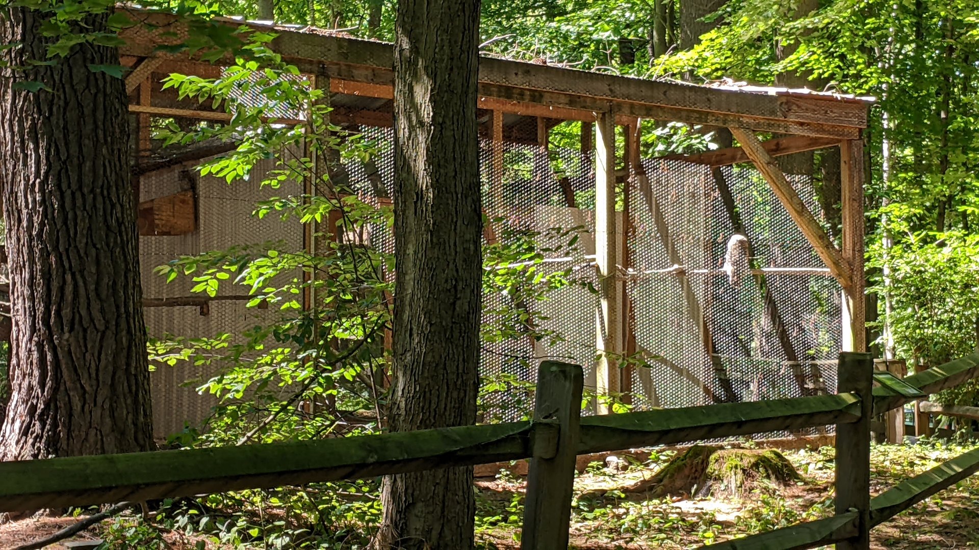 Inaccessible Bird Aviaries