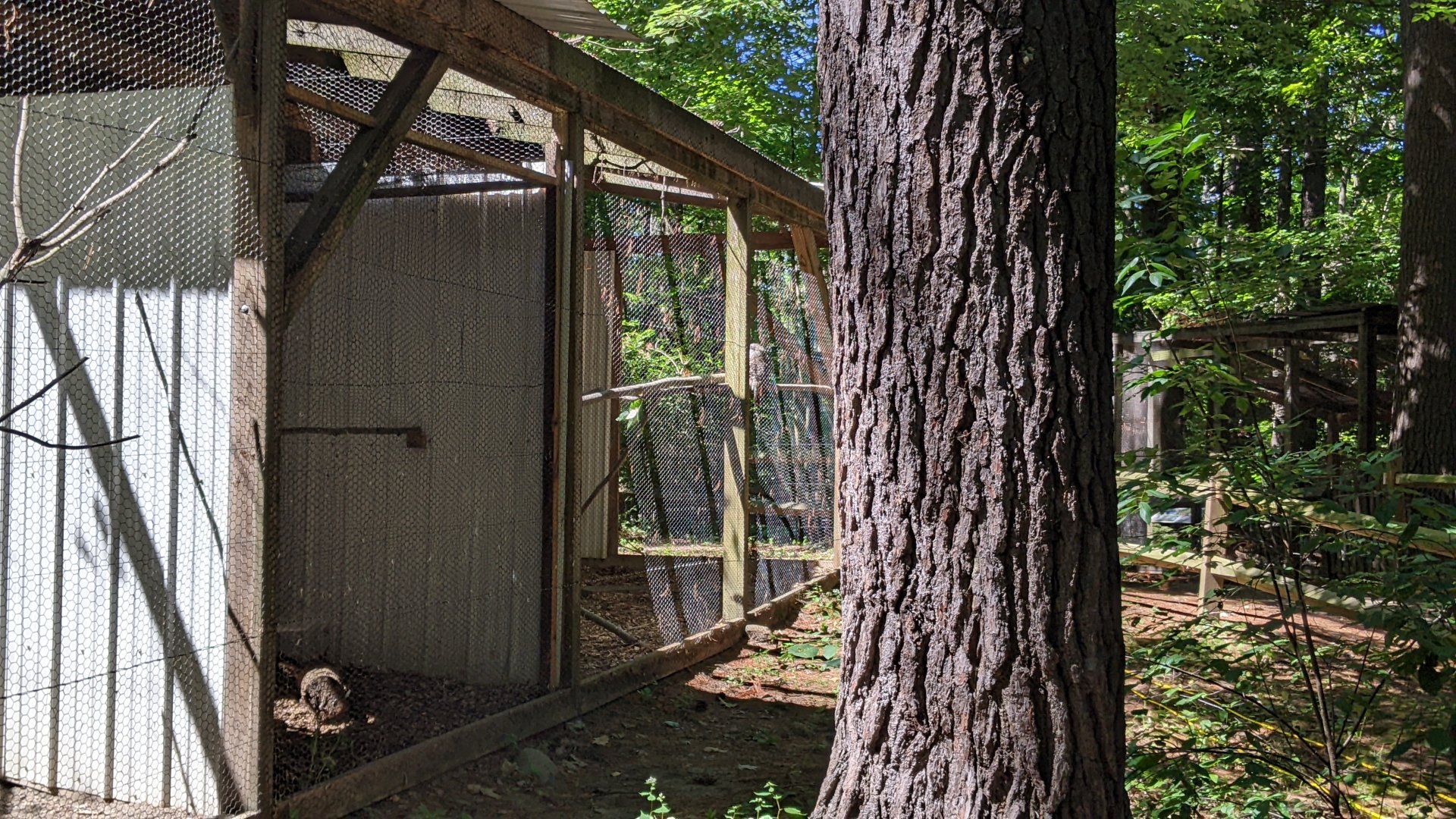 Inaccessible Bird Aviaries