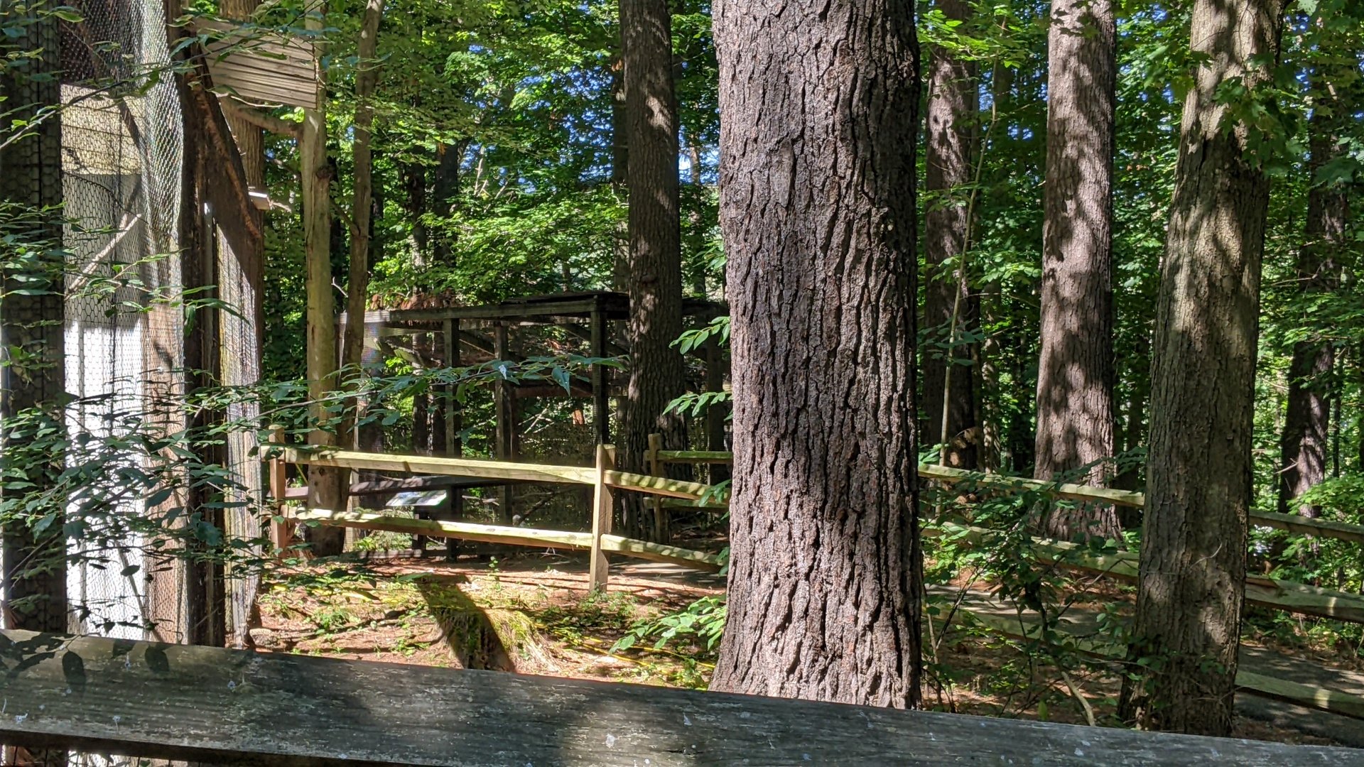 Inaccessible Bird Exhibits