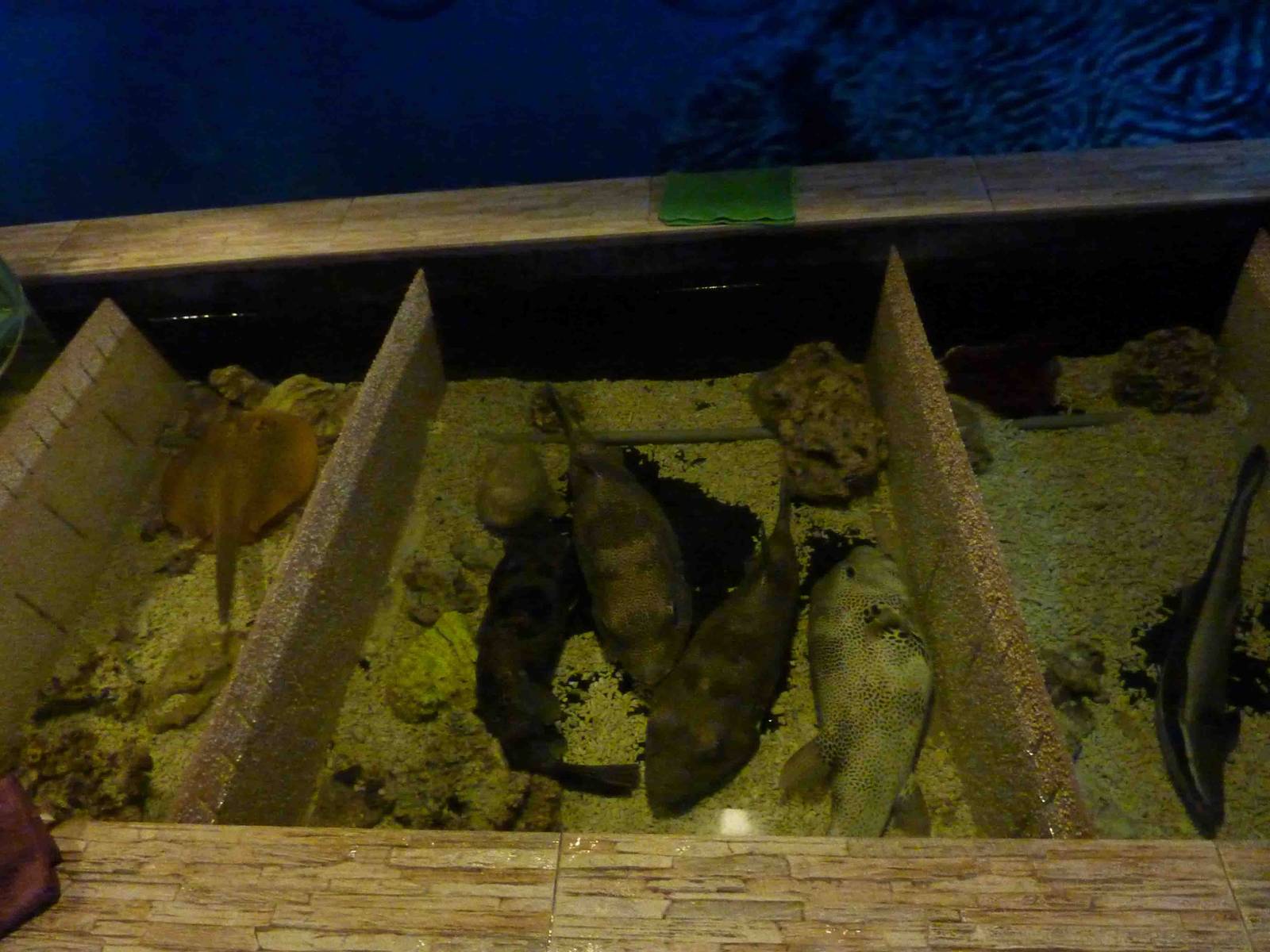 Inadequate tanks, May 2013.