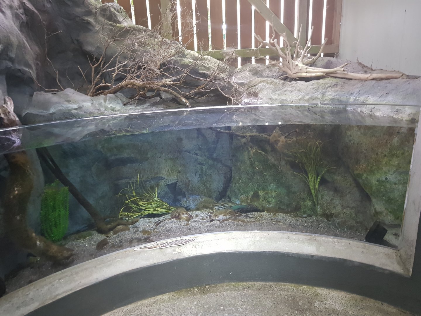 Inanga-Tongariro National Trout Centre