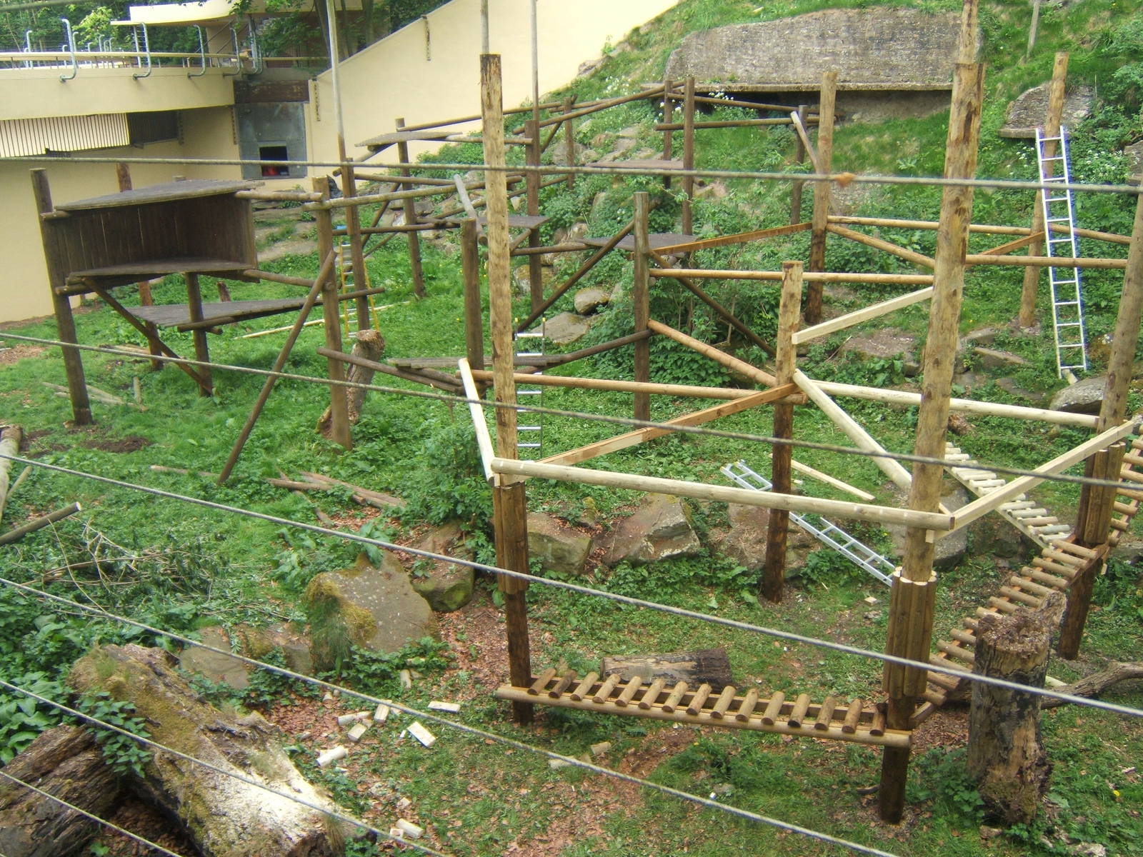 Inca`s old enclosure being rebuilt about for the Gelada