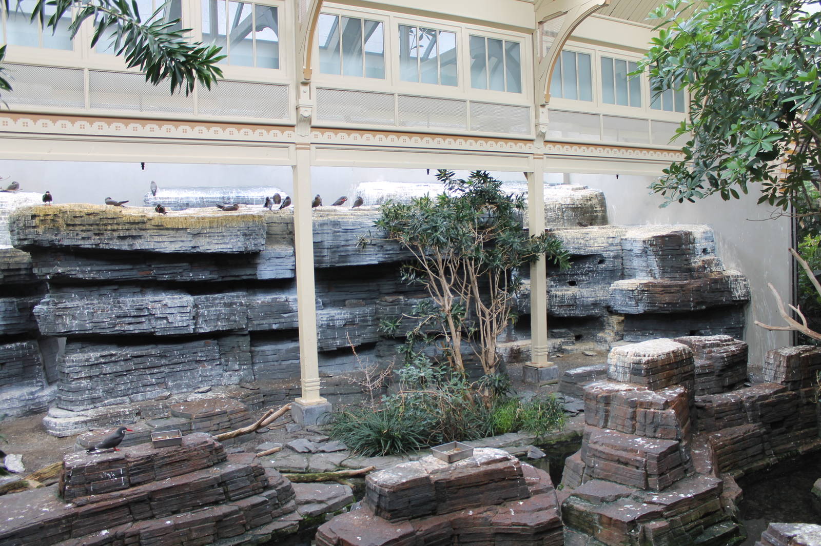 Inca Tern Exhibit - Bird House