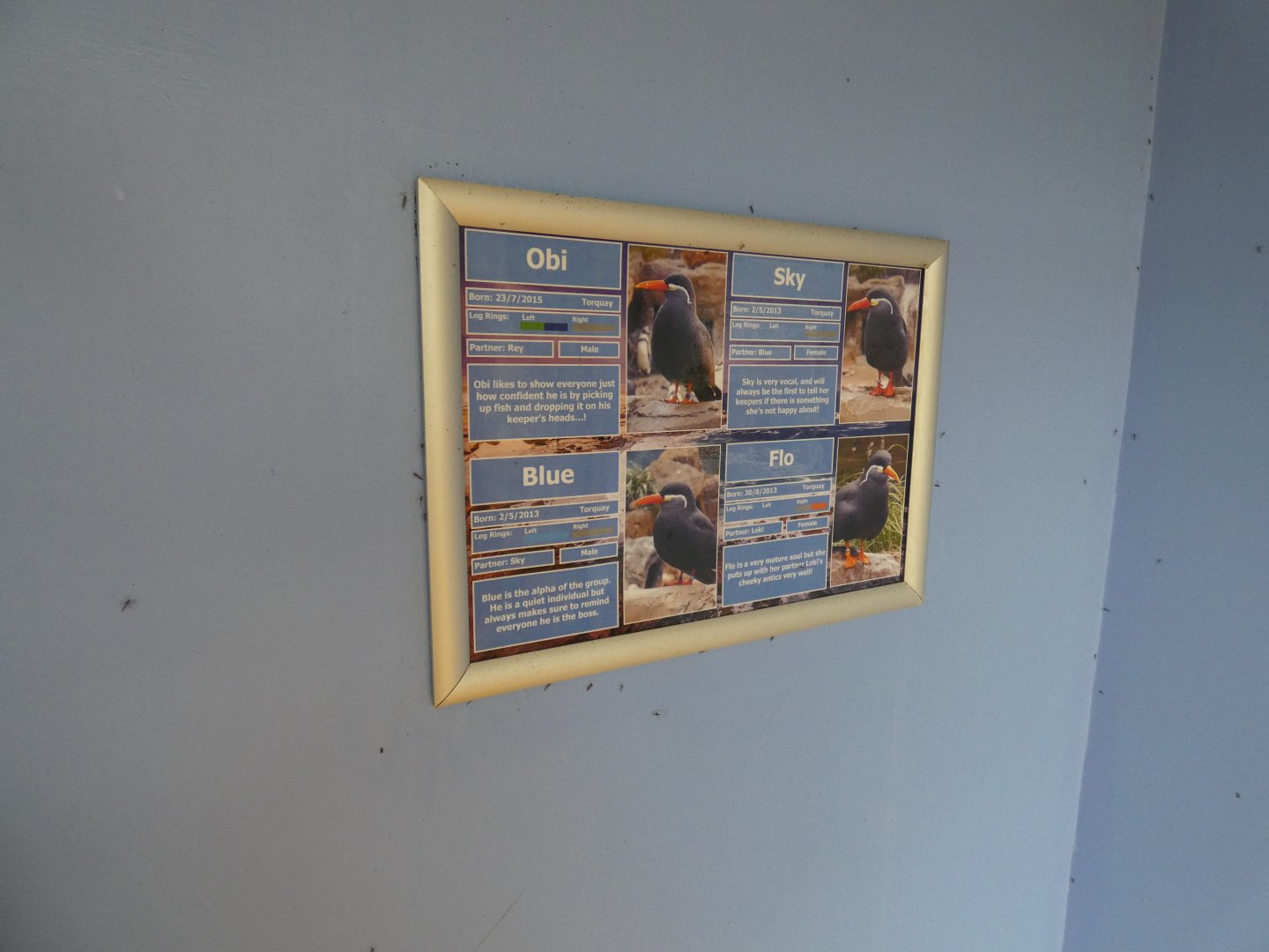 Inca tern ID Signage