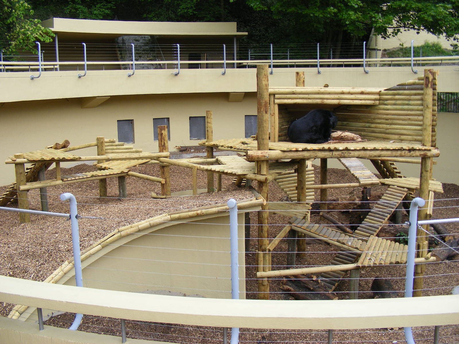 Inca the Asiatic black bear's completed enclosure at Dudley Zoo, 29 April 2