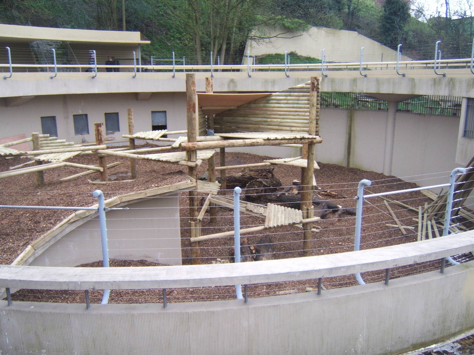 Inca the Asiatics Black Bear new home under construction