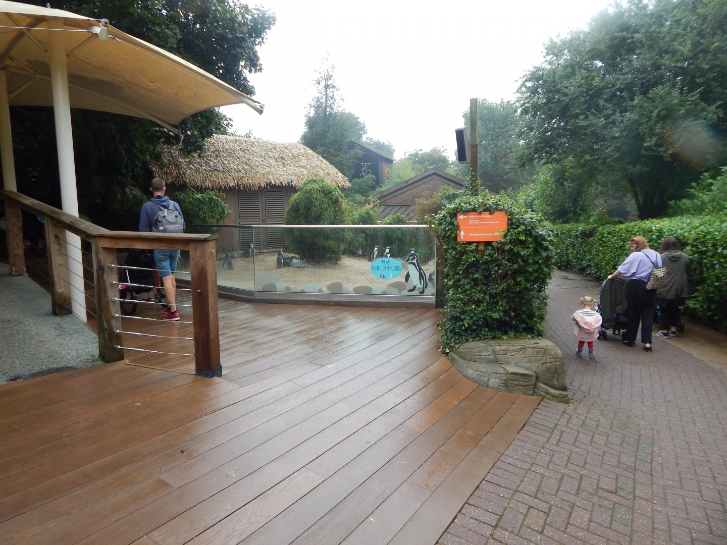 Inca Trail - Humboldt penguin exhibit 140921