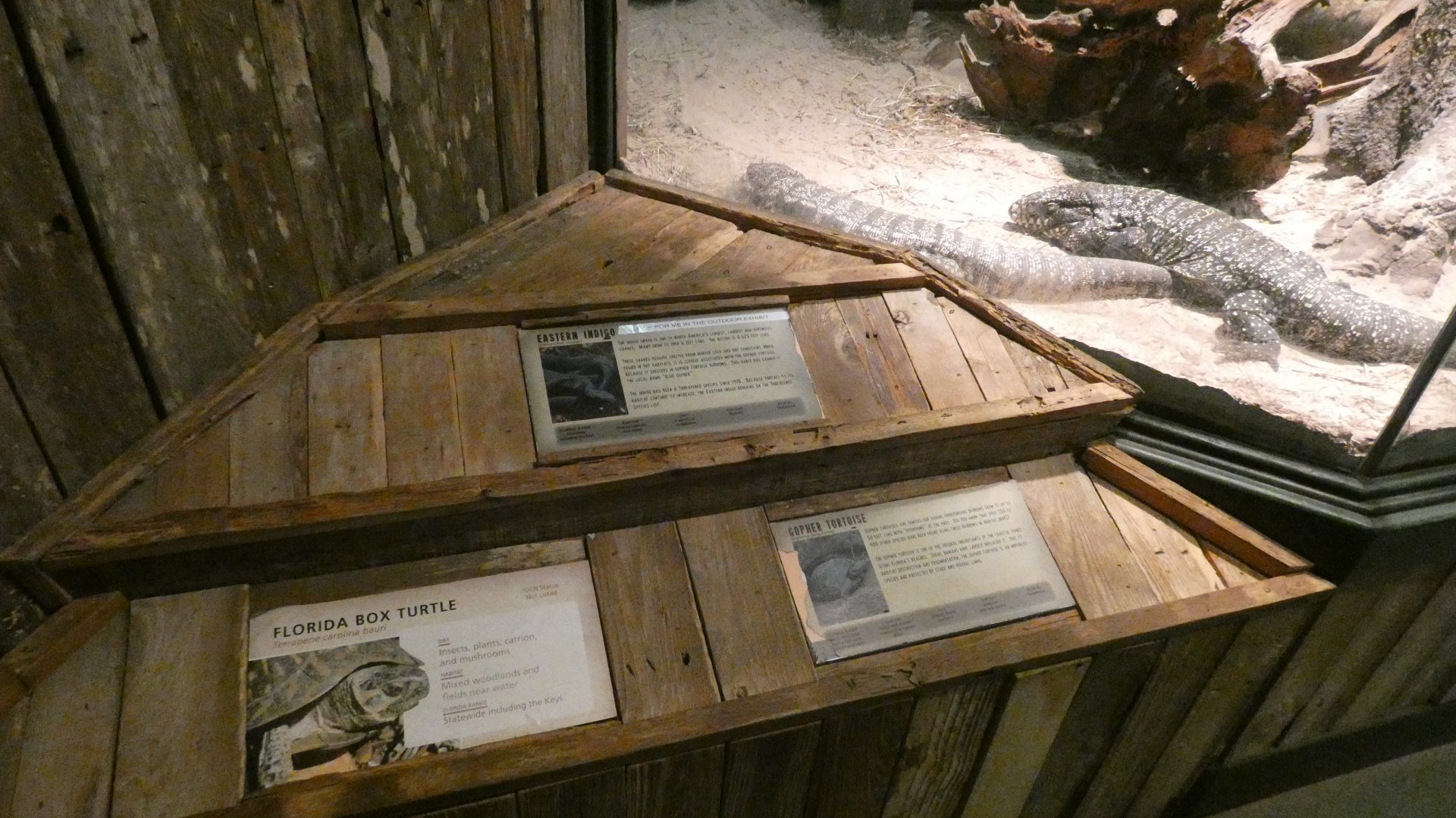 Incorrect Signage (New Species?), Wild Florida - June 2022