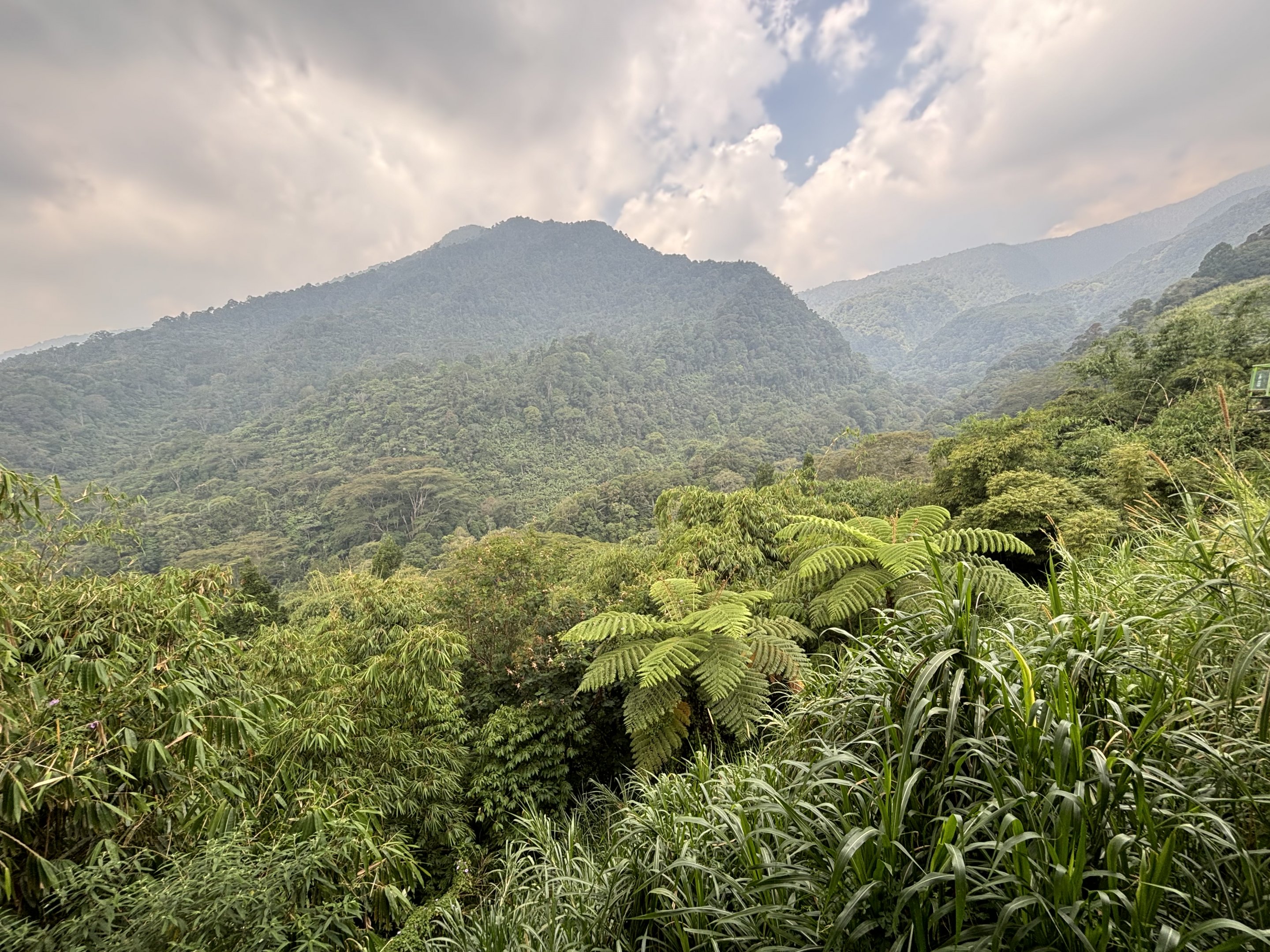 Incredible Scenery - Giant Panda Complex