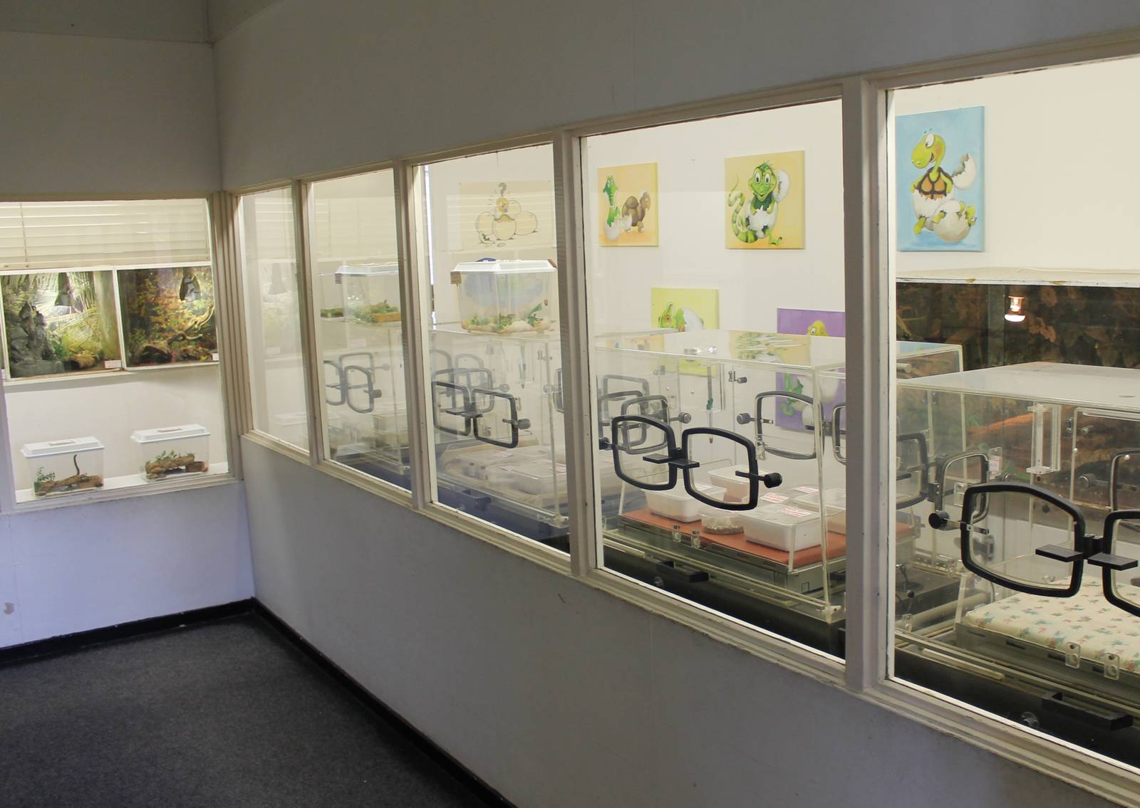 Incubation and raising room