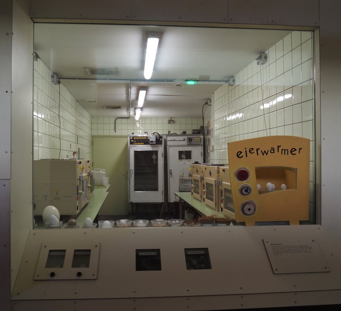 Incubator room in the Victoria wing of the Riviera Hall, 2024-06-30