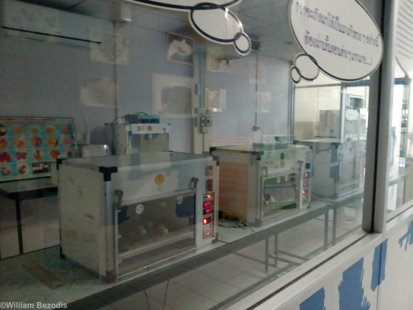 Incubator Room
