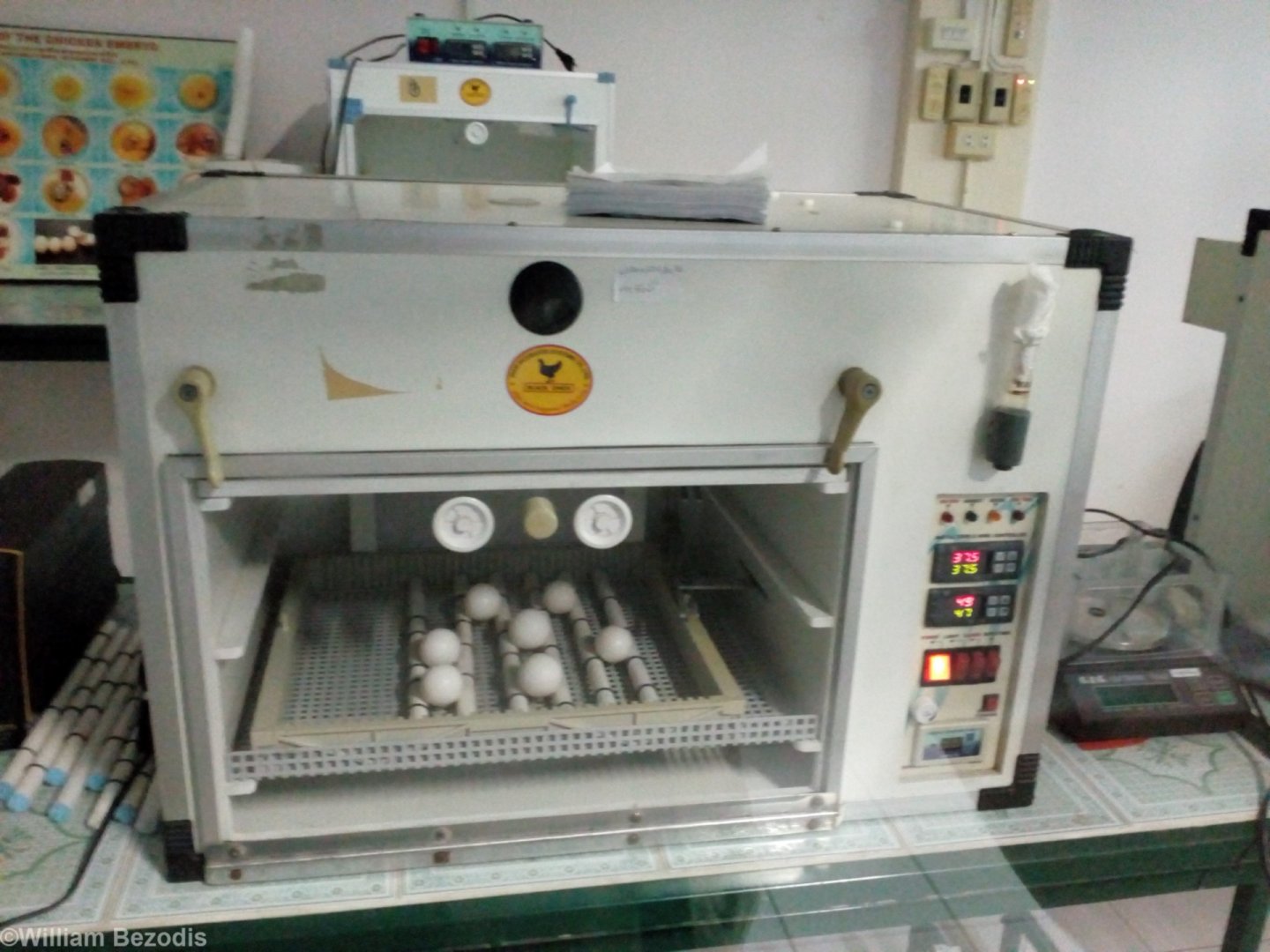 Incubator with Eggs