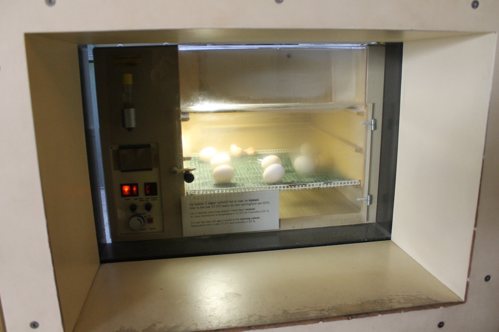 Incubator