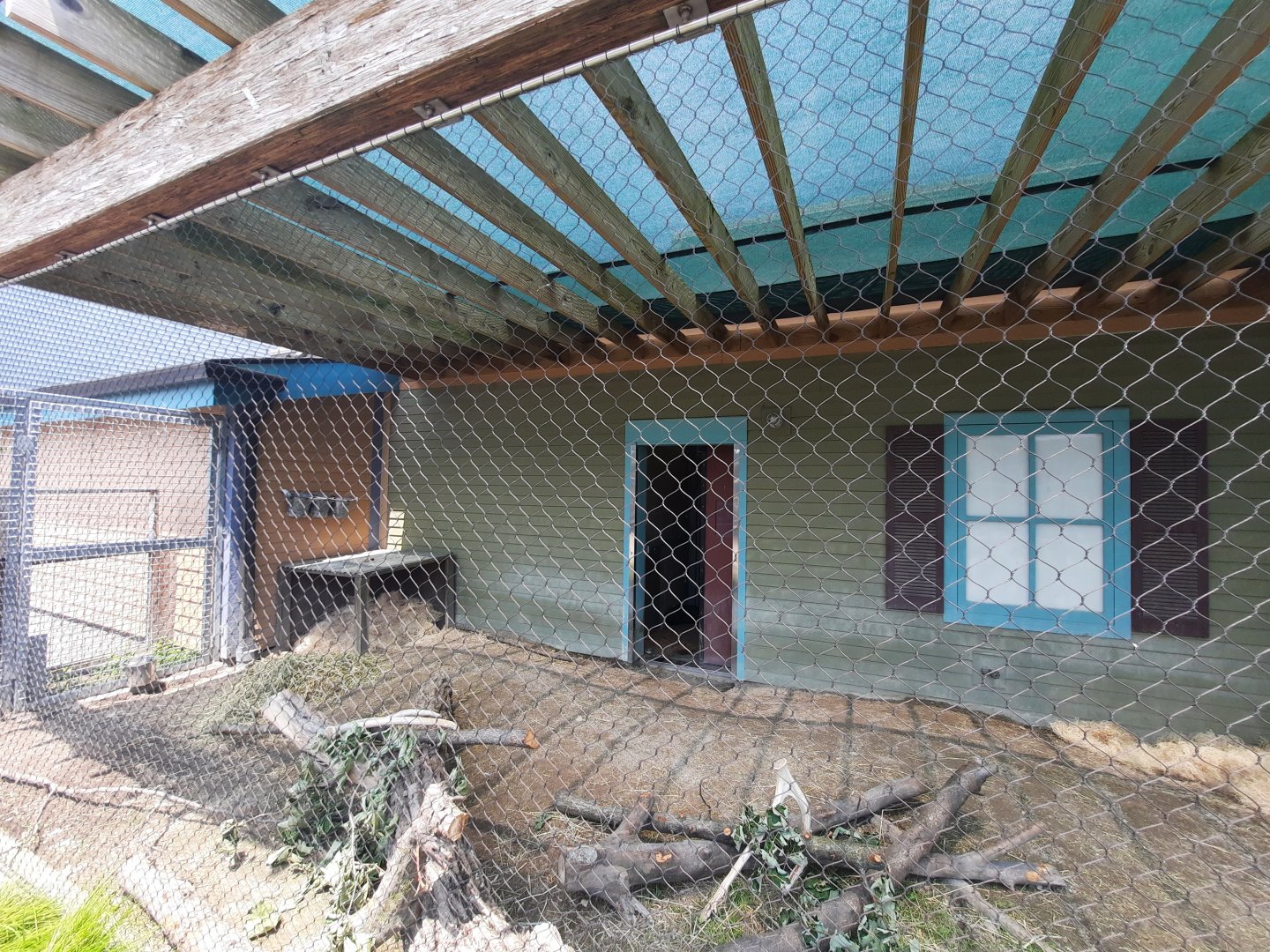 Indian and African Crested Porcupine Exhibit