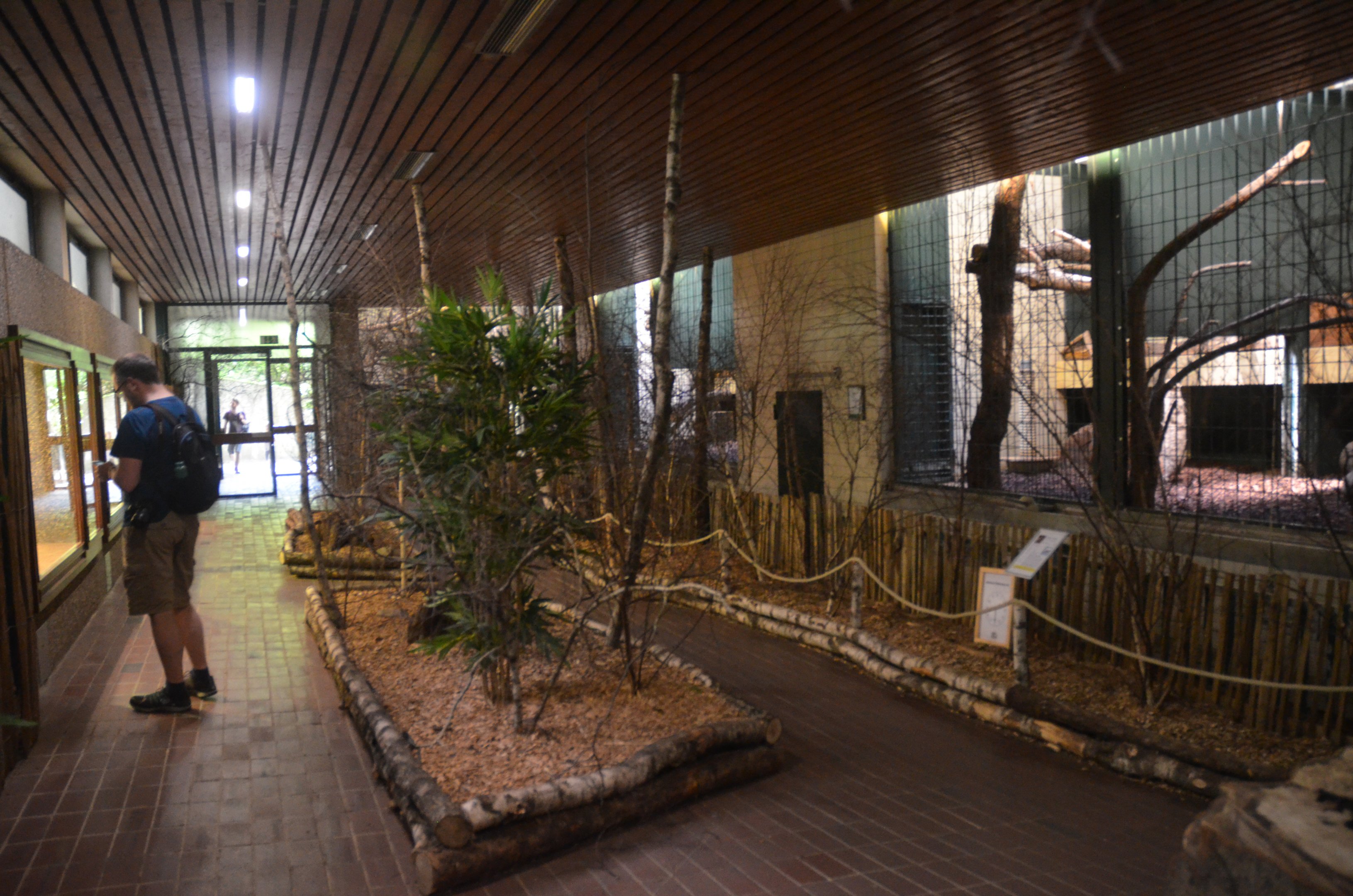 Indian and Clouded Leopard Enclosures at Wuppertal, 16/06/19