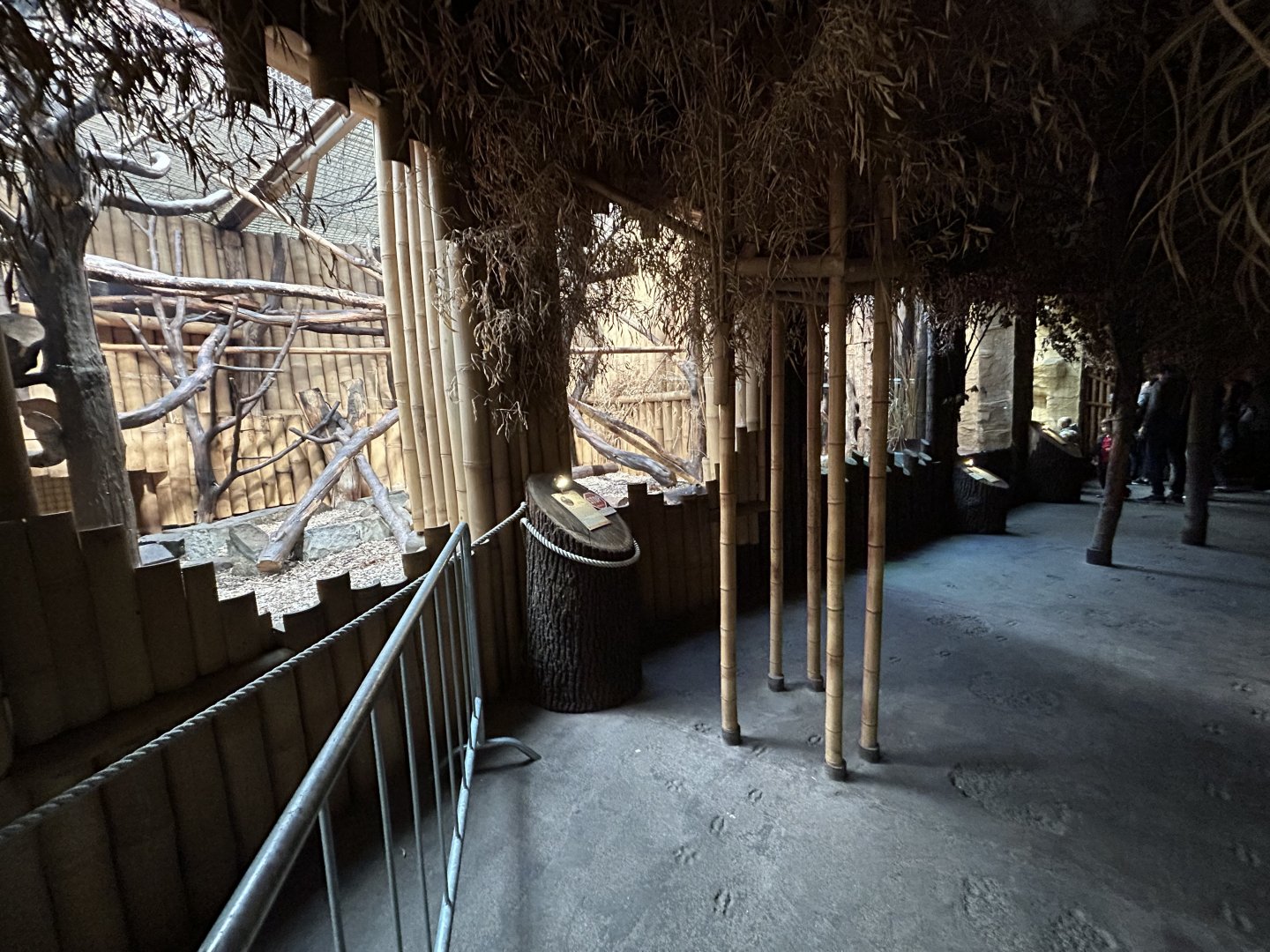 Indian Carnivores House