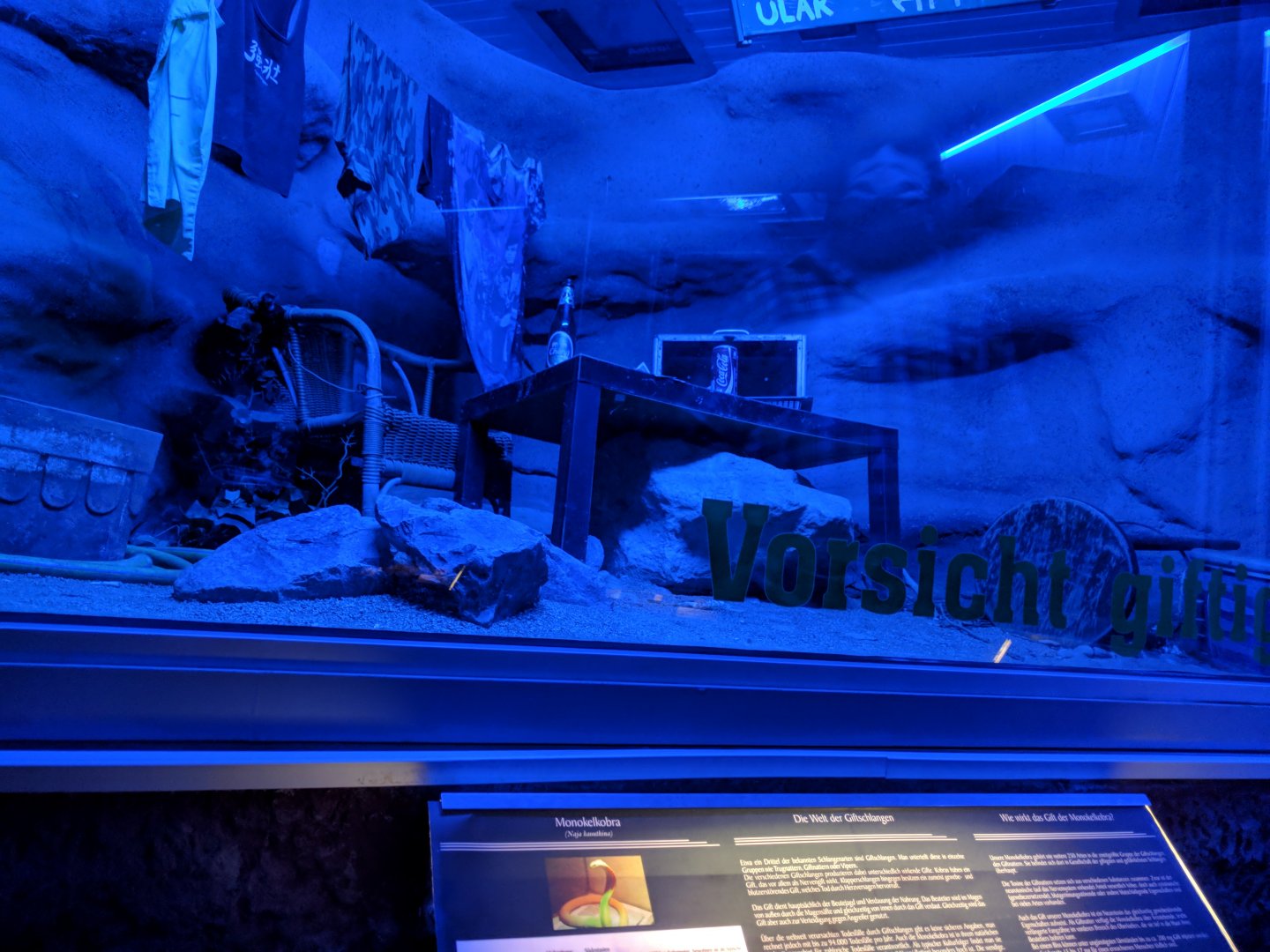 Indian Cobra Enclosure