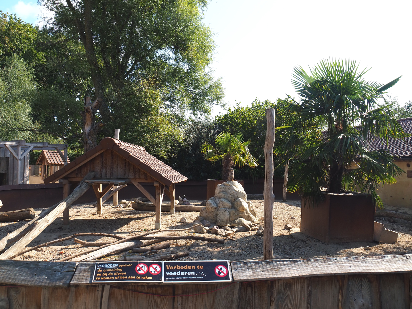 Indian crested porcupine and Meerkat exhibit, 2020-09-12