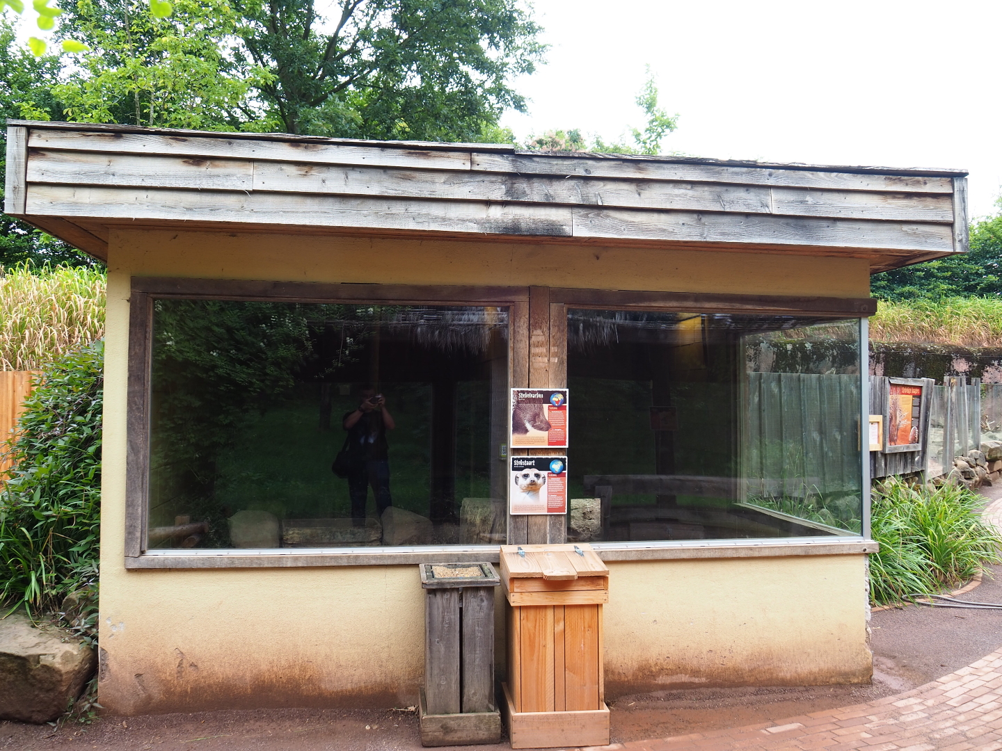 Indian crested porcupine and meerkat house, 2019-07-21