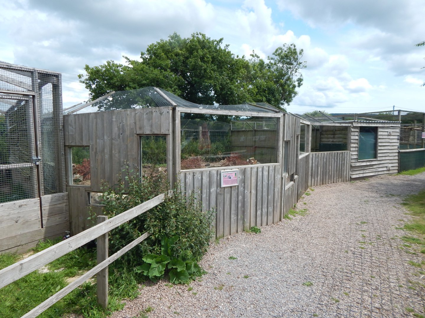 Indian crested porcupine enclosure 060625
