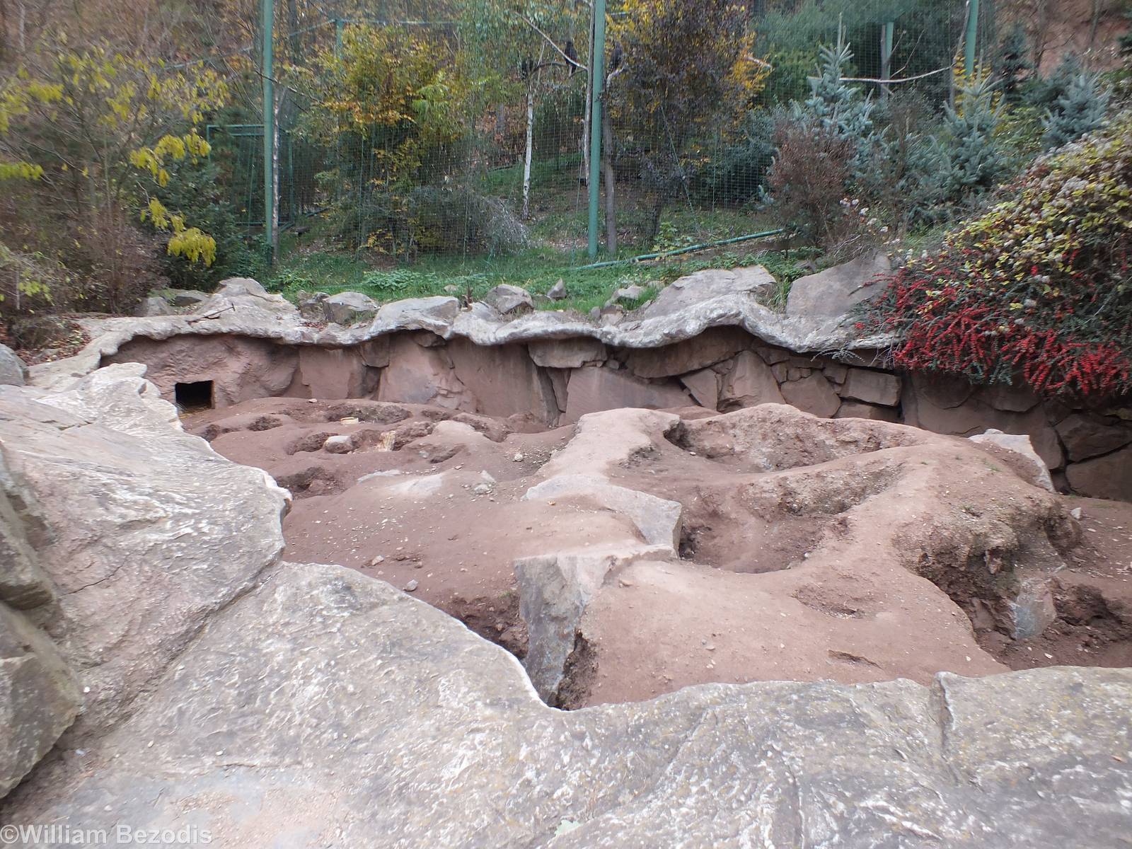 Indian Crested Porcupine Enclosure