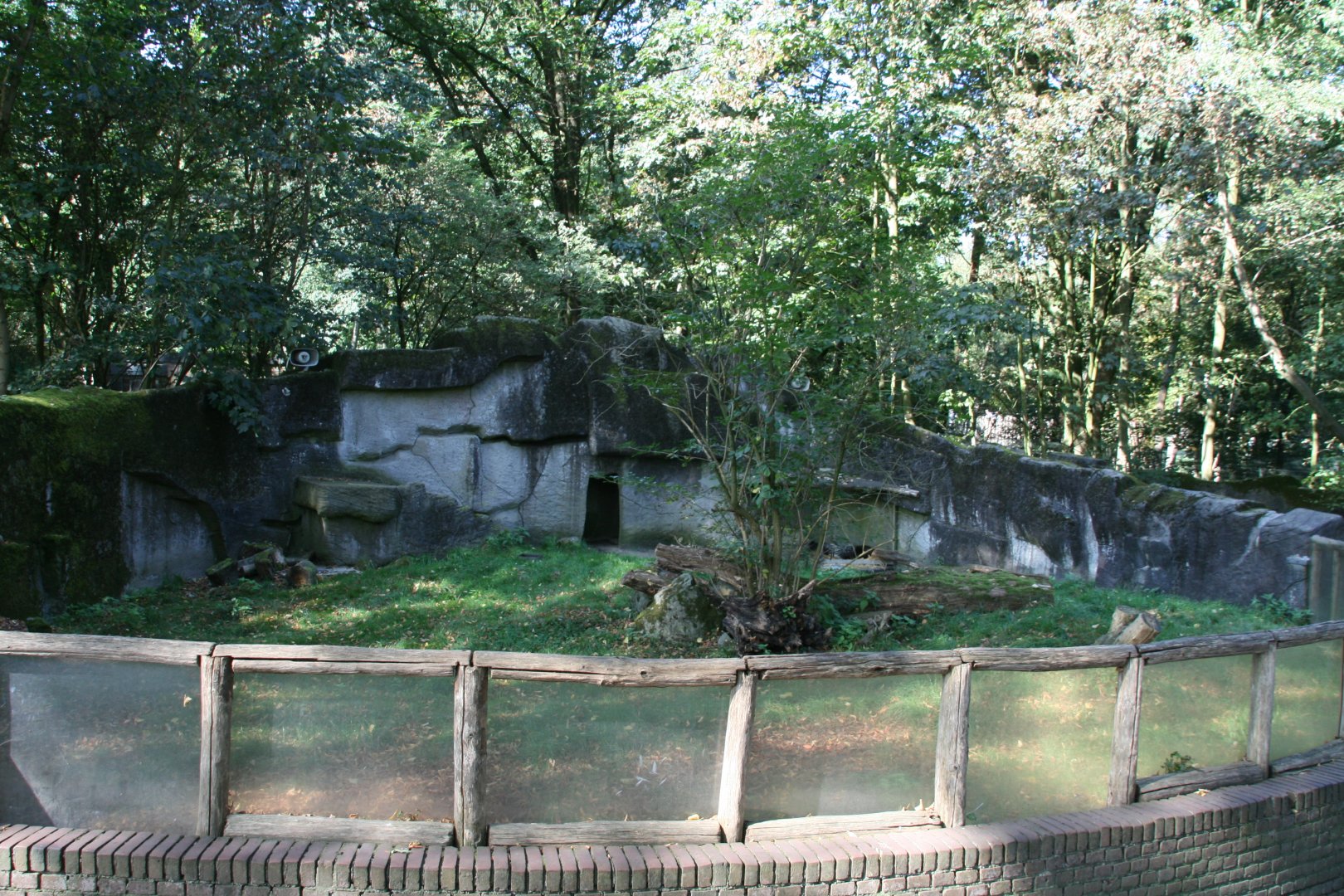 Indian crested porcupine enclosure