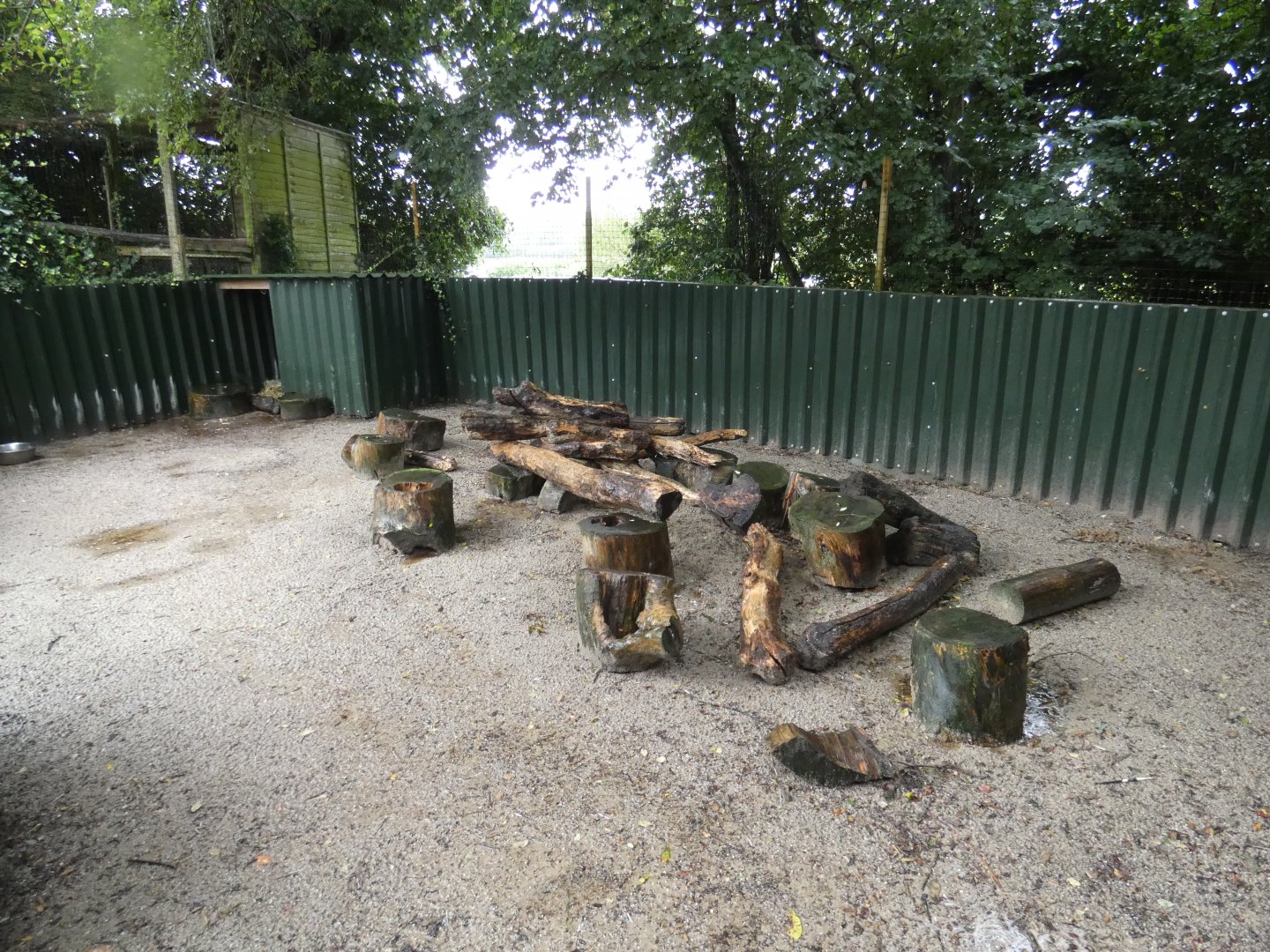 Indian Crested Porcupine enclosure