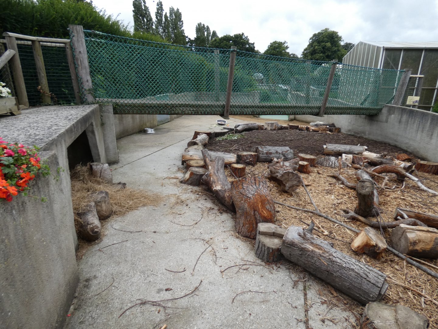 Indian crested porcupine enclosure