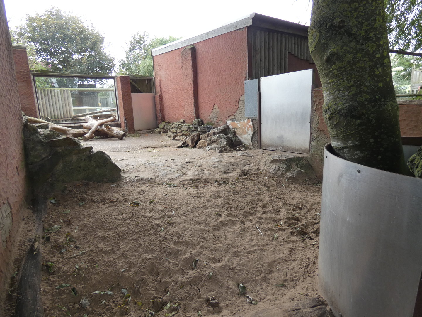 Indian crested porcupine enclosure