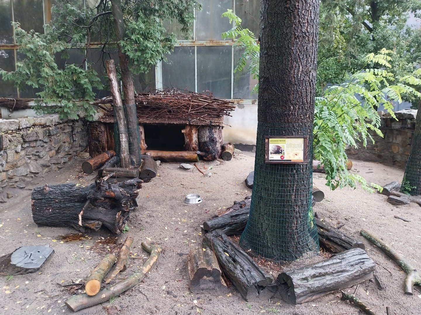 Indian crested porcupine enclosure