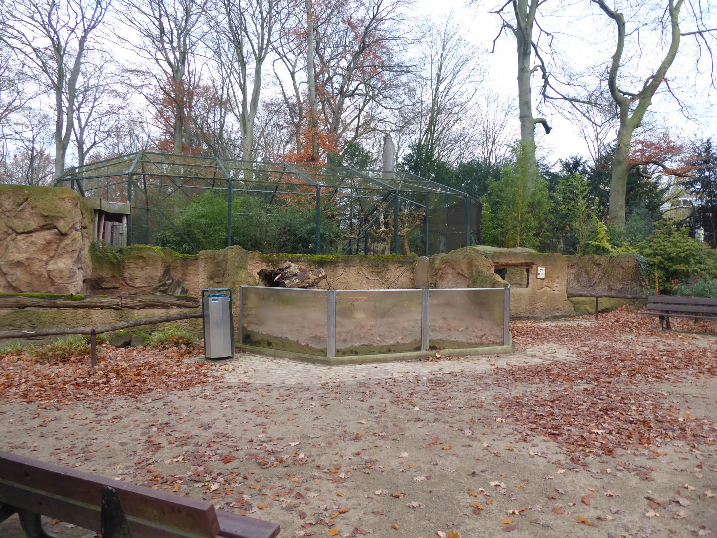 Indian crested porcupine exhibit 021219